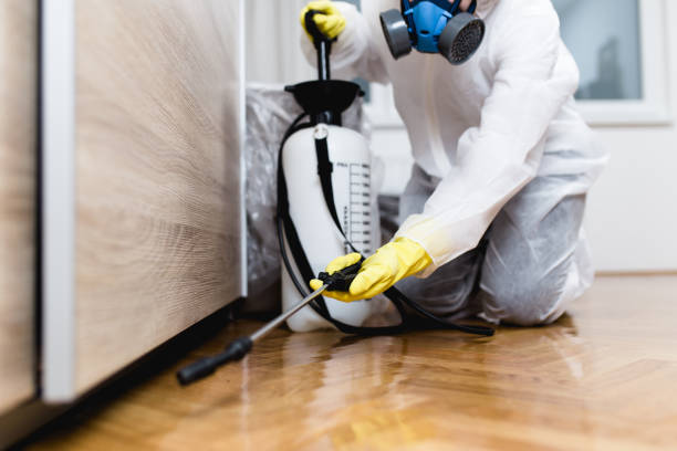 Best Pest Removal Services  in Baldwin, GA