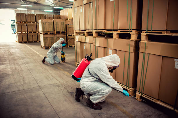 Best Exterminator Services  in Baldwin, GA