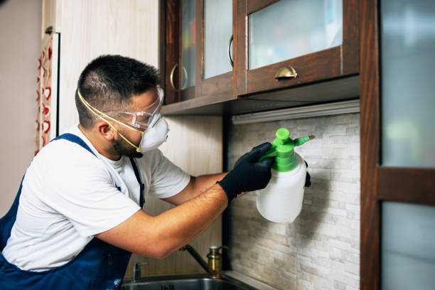 Best Ant Control Services  in Baldwin, GA