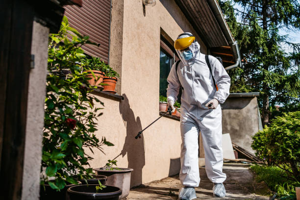 Best Pest Control Treatment  in Baldwin, GA