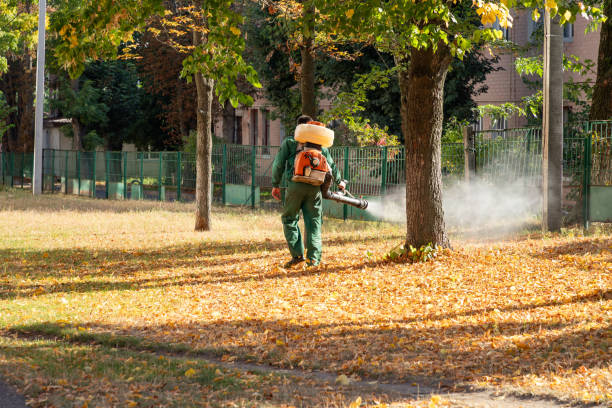 Best Termite Control Services  in Baldwin, GA
