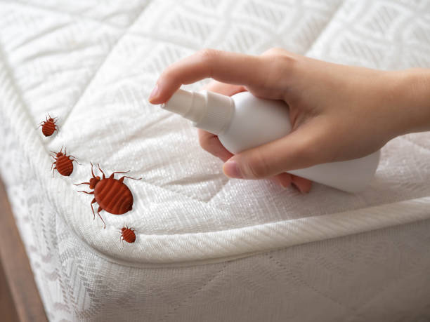 Best Pest Removal Services  in Baldwin, GA
