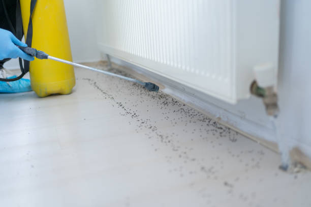 Trusted Baldwin, GA Pest Control Experts
