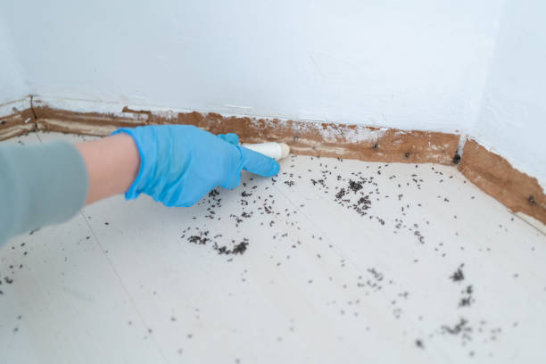 Best Mosquito Control Services  in Baldwin, GA