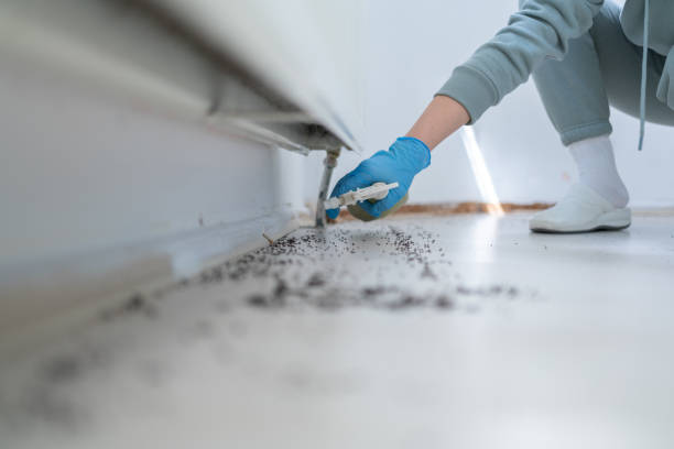 Best Bed Bug Extermination  in Baldwin, GA
